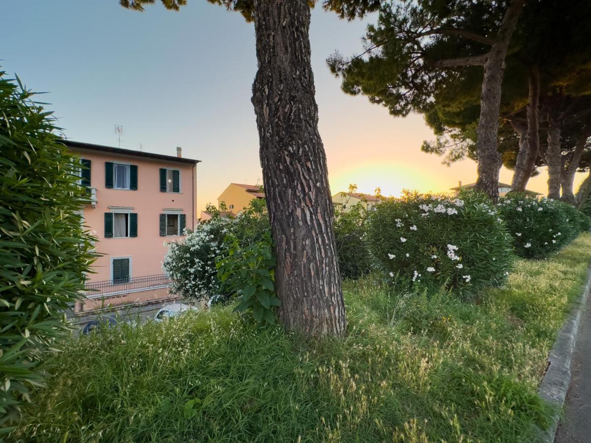 La Casa Di Eli Appartamenti بيزا المظهر الخارجي الصورة