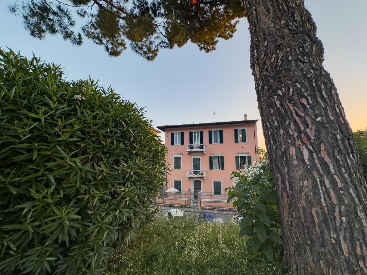 La Casa Di Eli Appartamenti بيزا المظهر الخارجي الصورة